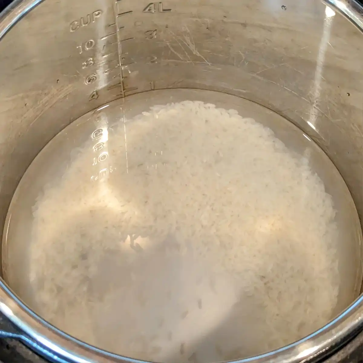 Rice, Water, and White Pepper in an Instant Pot