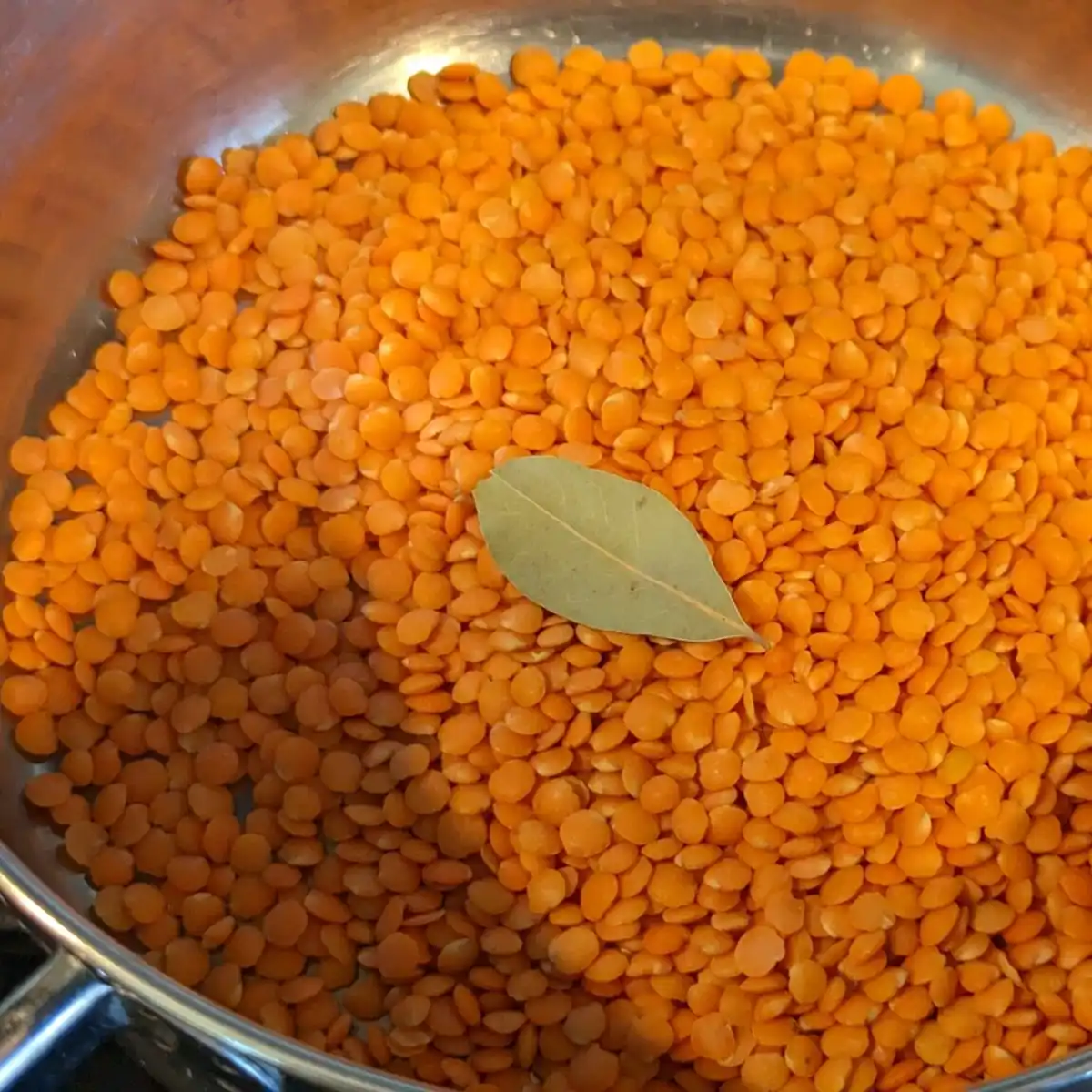 Red Lentils with a Bay Leaf