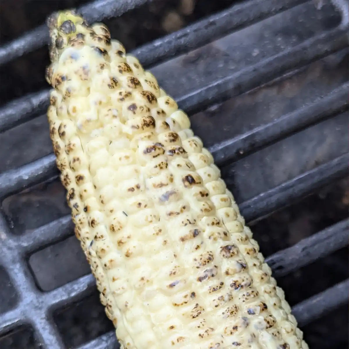 Grilled Corn with New Butter